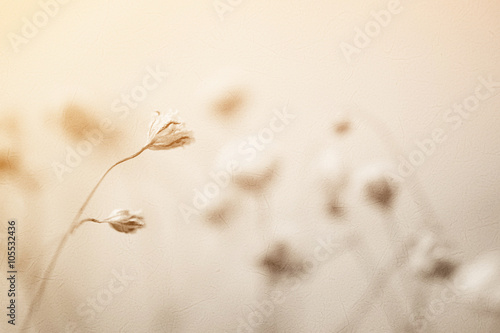 weed flowers in vintage color style on mulberry paper texture for background
 photo