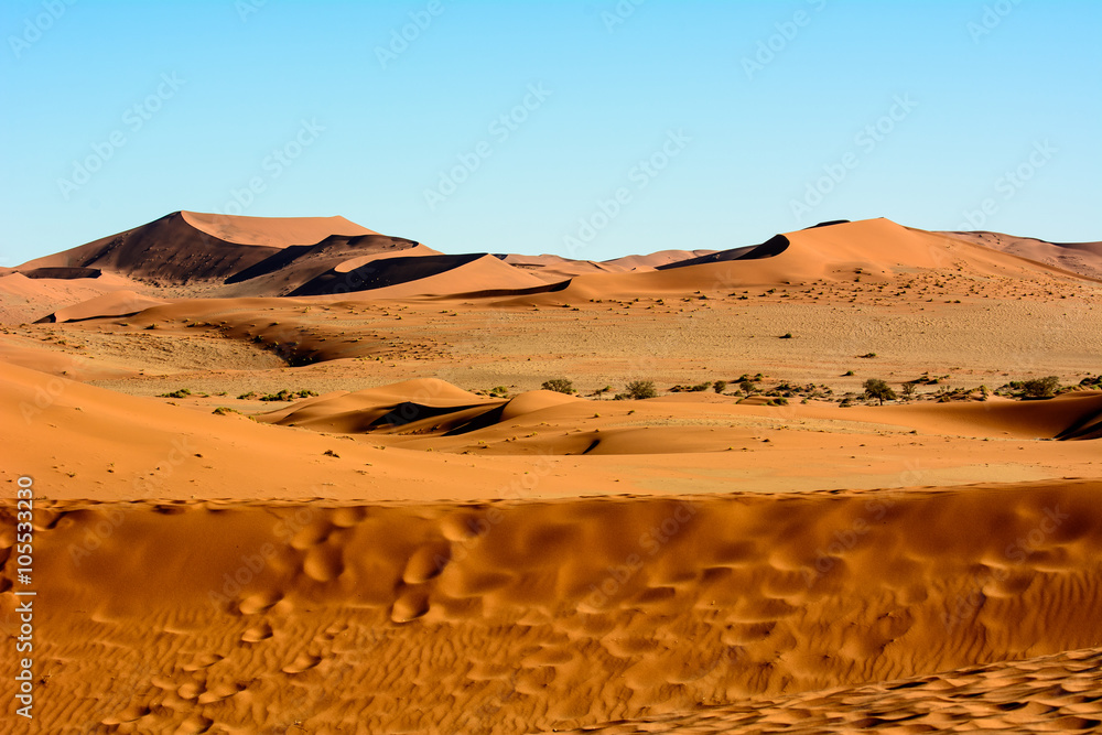 Breathtaking scenery of the Namib