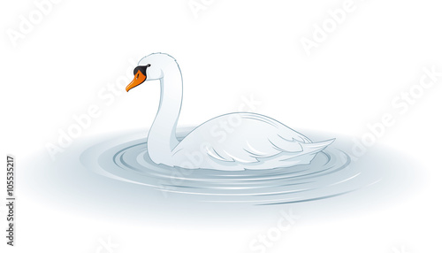 Fototapeta Naklejka Na Ścianę i Meble -  Beautiful Swan