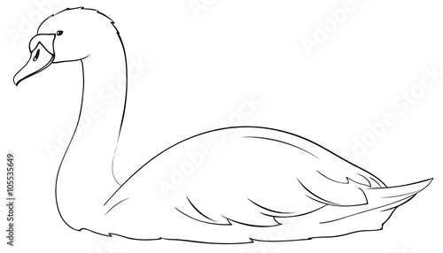 Beautiful Swan Outlines