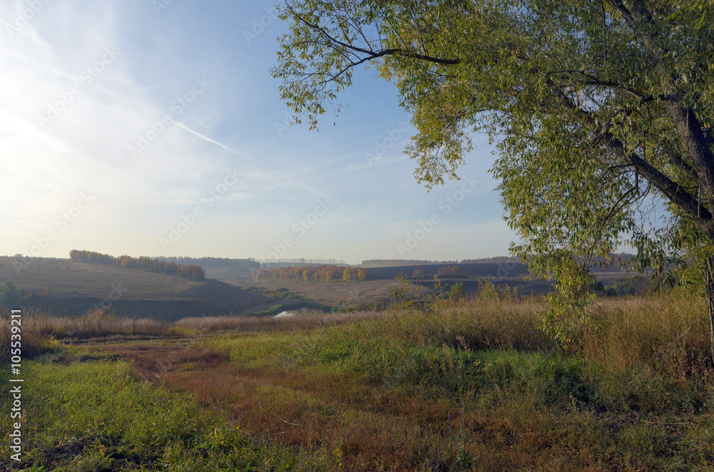 Sunny countryside landscape