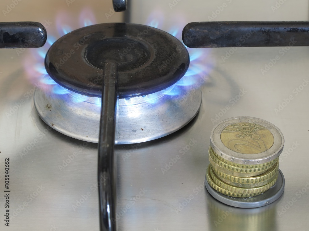Obraz premium Gas cost: Propane gas burning and euro coins
