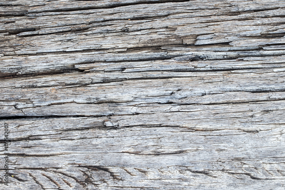wood texture. background old panels wood texture. background old panels