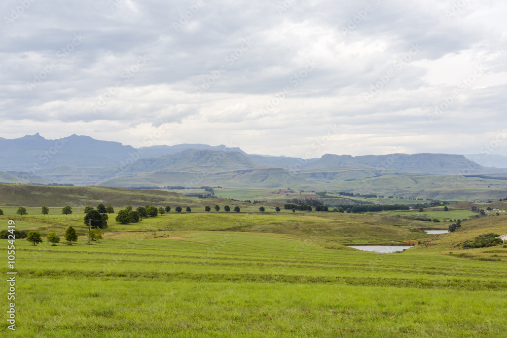 Green pastures and the mountains