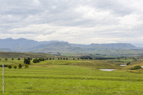 Green pastures and the mountains