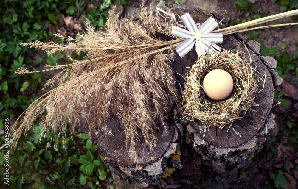 Chicken egg in the bird nest on wooden background Chicken egg in the bird nest on wooden background