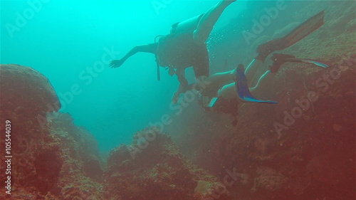 Wallpaper Mural Diving, Two Women, Underwater Coral Reefs Torontodigital.ca