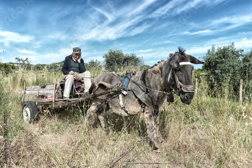 An old man on his cart pulled by old donkey