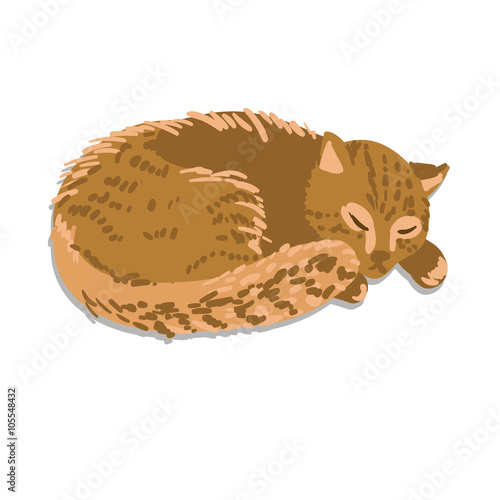 Vector illustration of sleeping cat