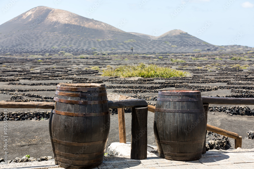 Wine barrels on background vines and mountains , Lanzarote; Canary islands. Wine barrels on background vines and mountains , Lanzarote; Canary islands.