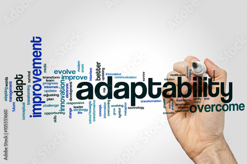 Adaptability word cloud photo