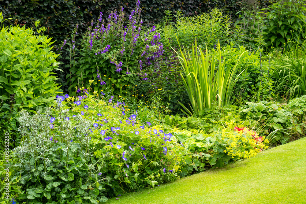 Beautiful walled garden