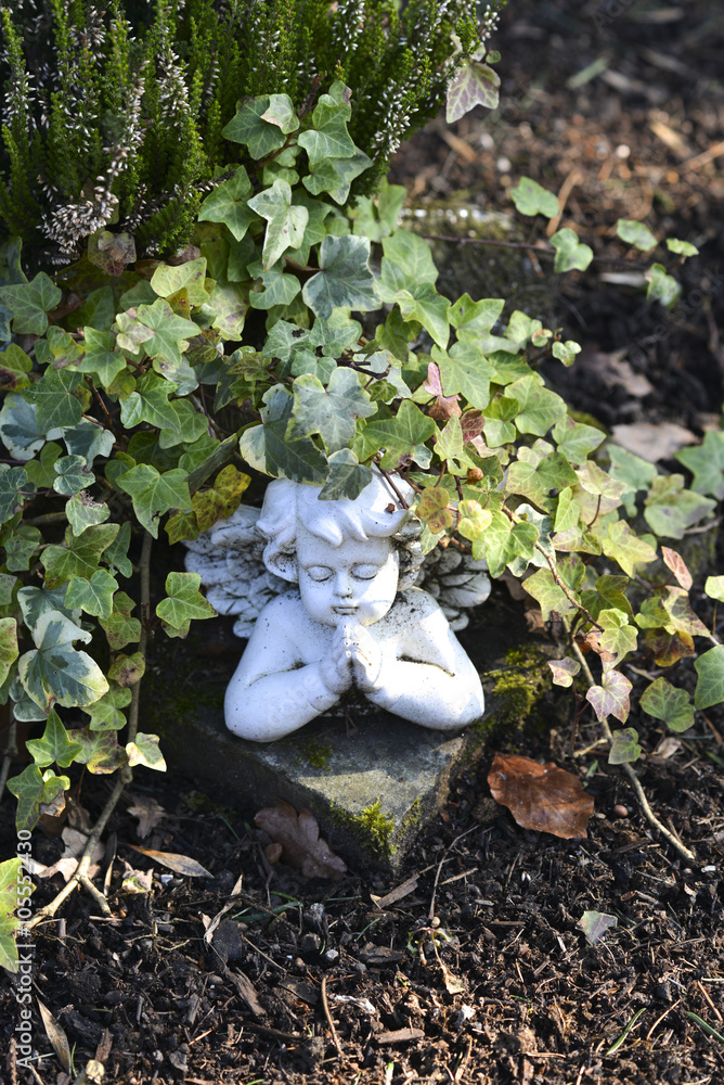 Obraz premium Engel unter Efeu