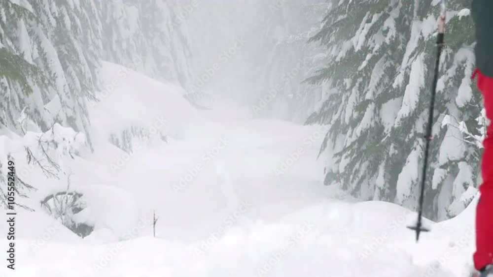 Man Hiking with Snowshoes and Poles Down Snowy Mountain Trail on Foggy Day Man Hiking with Snowshoes and Poles Down Snowy Mountain Trail on Foggy Day