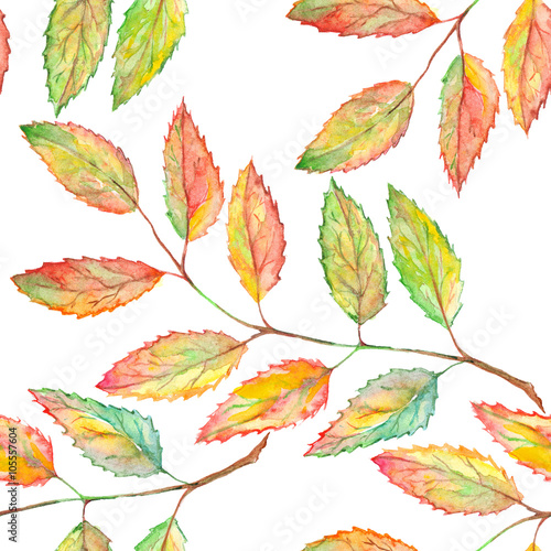 Watercolor rowan ashberry leaf branch botanical seamless pattern