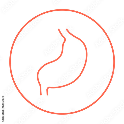 Stomach line icon.