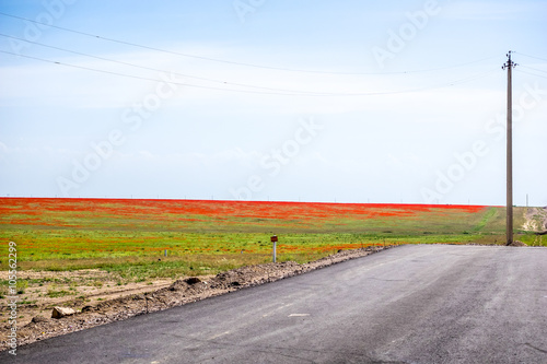 Colorful field landscape