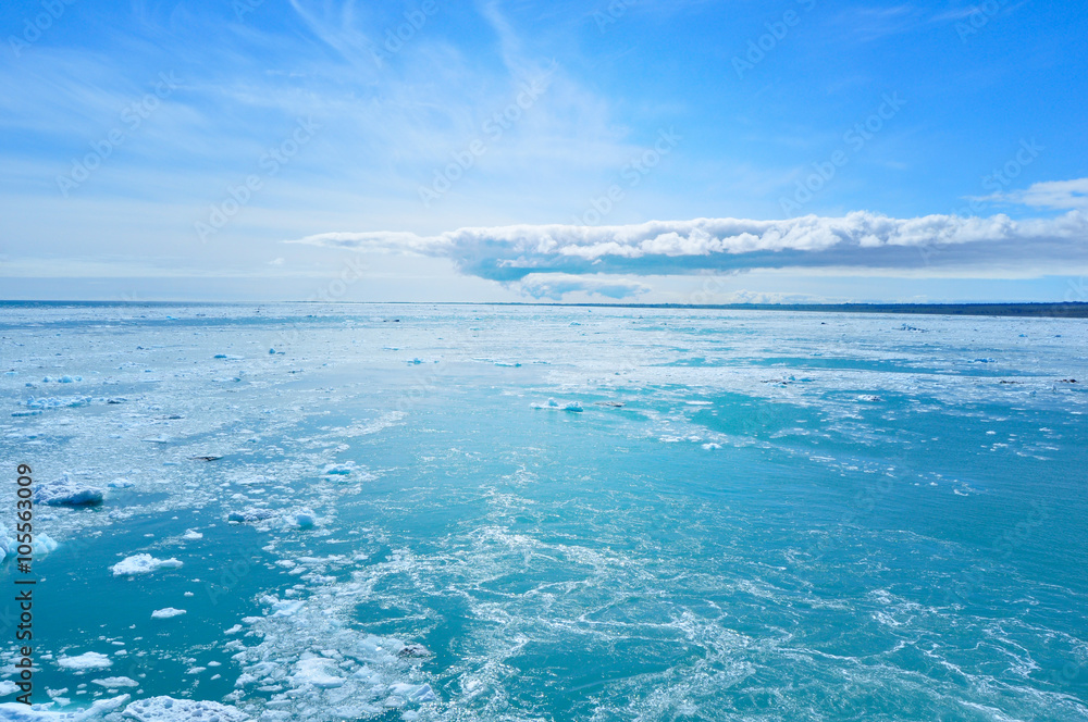 Fototapeta premium Glacier and beautiful nature of Alaska