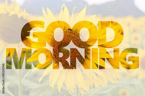 Foto Good morning word on sunflower background
