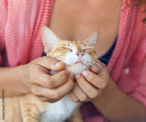 Photography red cat on the host hands. Caress and love for pets.