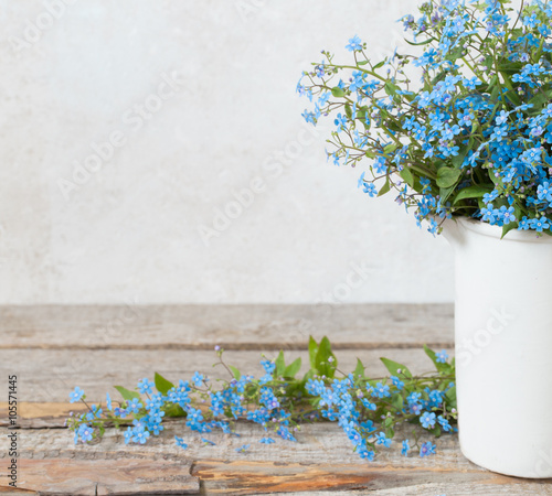 spring flowers on white background
