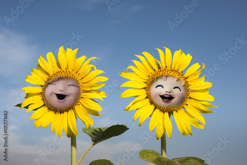 Fototapeta Naklejka Na Ścianę i Meble -  lovely sunflower