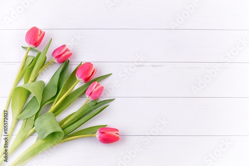 Fototapeta Naklejka Na Ścianę i Meble -  Tulip. Red tulips, bouquet of tulips
