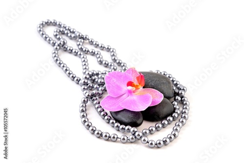 Orchid and black stone