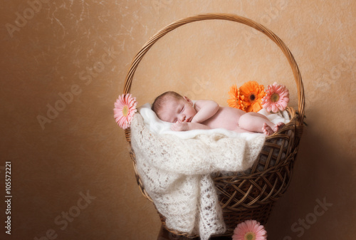 Newborn baby girl with flower