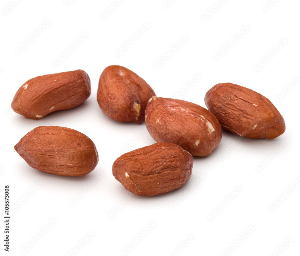 peanut or groundnut isolated on white background close up peanut or groundnut isolated on white background close up
