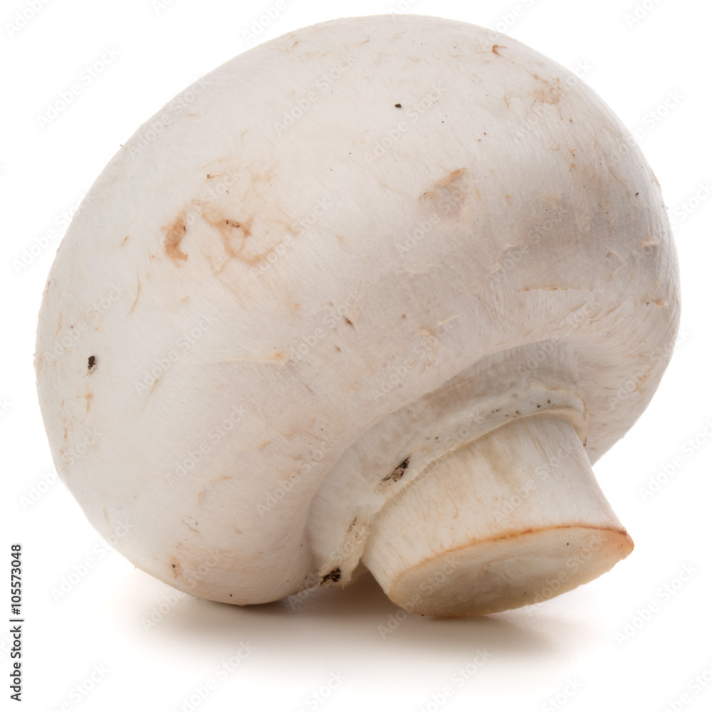 Champignon isolated on white background cutout Champignon isolated on white background cutout