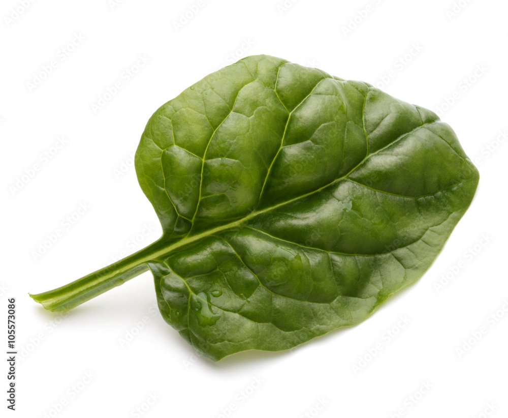 Obraz premium Baby spinach leaves isolated on white background cutout