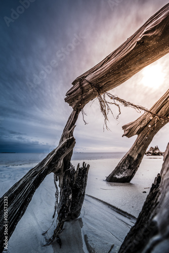 Dramatic Clouds Cypress Tree roots Carabelle Beach Florida photo