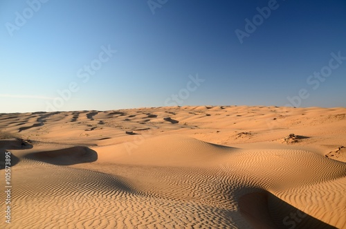 Rippled sand dunes at sunset India