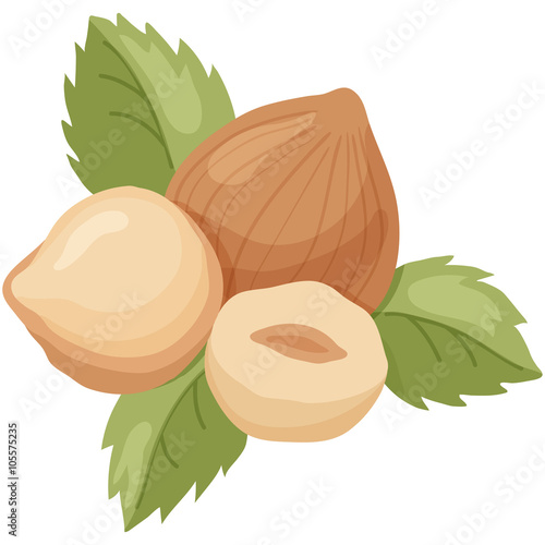 hazelnut