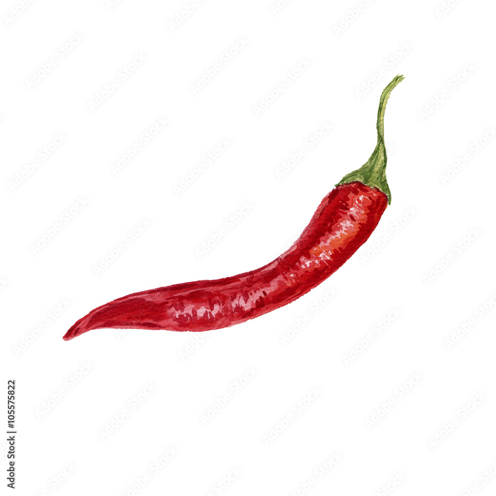 watercolor red chili pepper