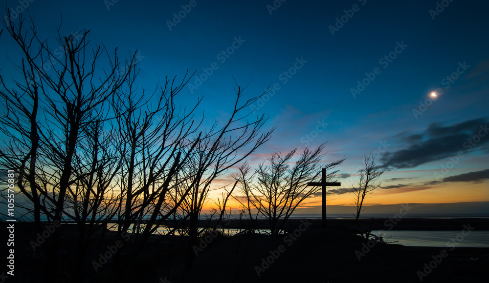 Dead Cross Trees Sunset