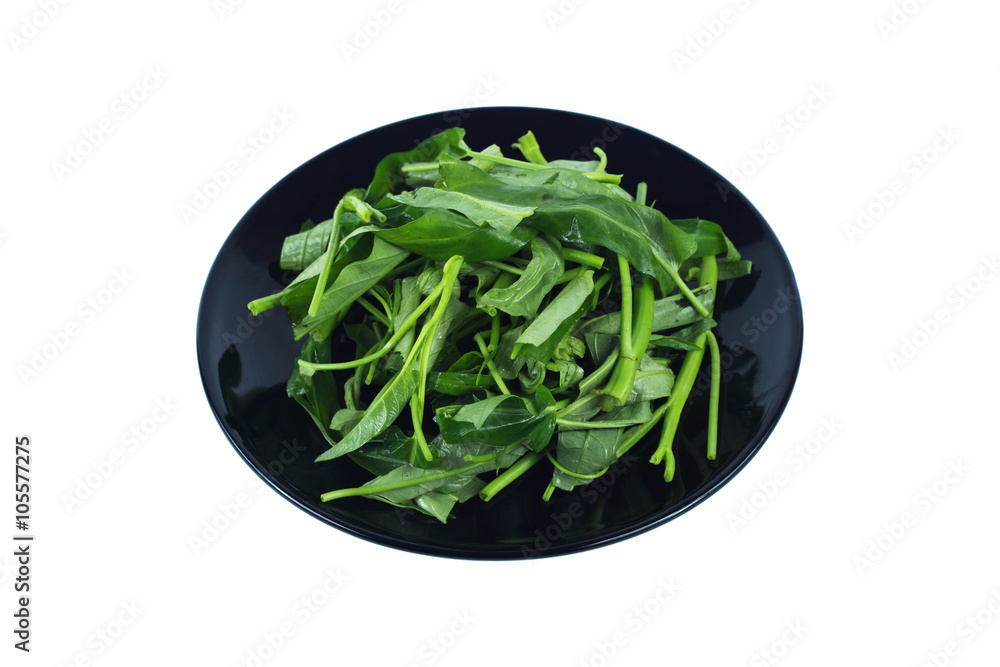 Morning glory on black plate isolated on white Morning glory on black plate isolated on white