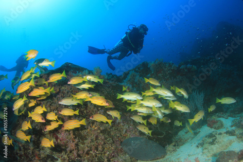Scuba diving exploring coral reef © Richard Carey