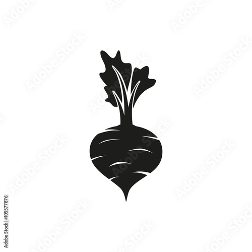 Vector illustration of Beet isolated on white background