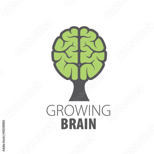 Vector brain logo