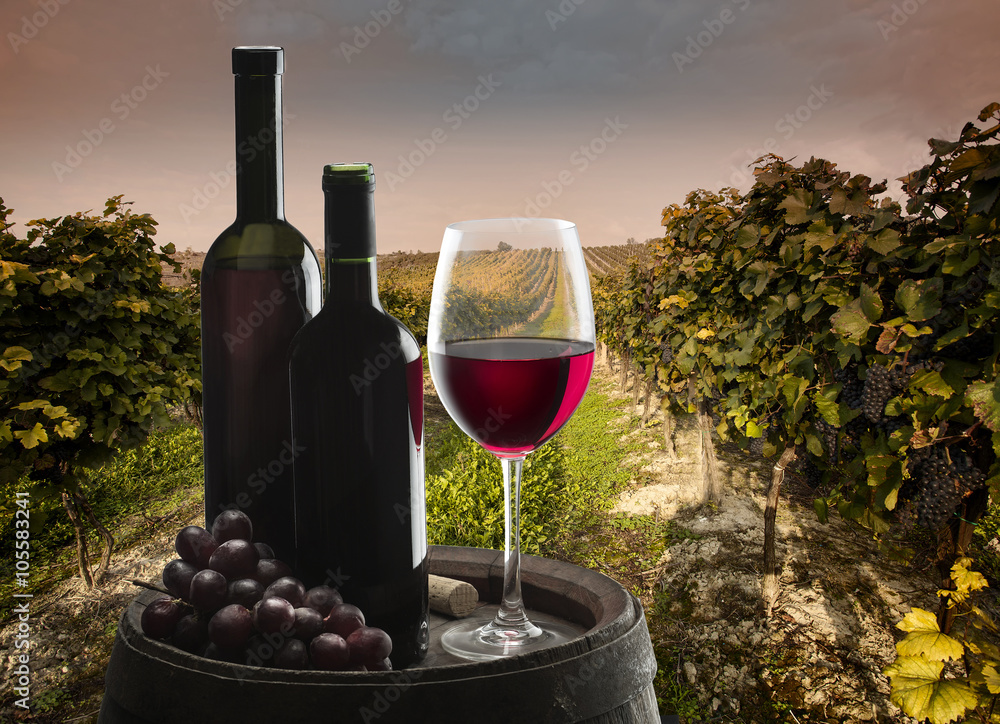 still life with red wine on vineyard background
