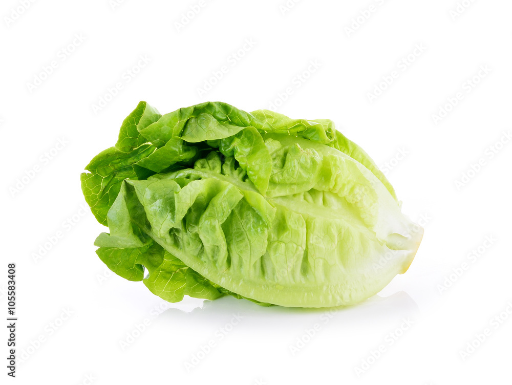 Romain Lettuce isolated on a white background Romain Lettuce isolated on a white background