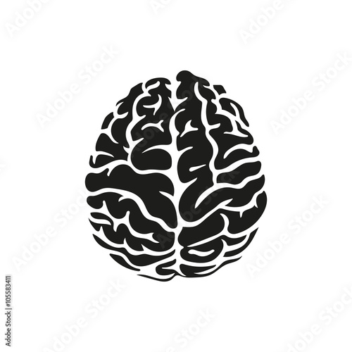 Vector illustration of human brain on white background