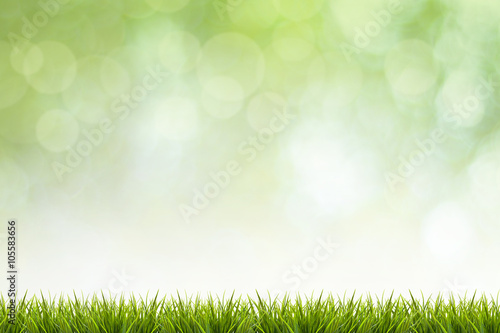 Grass and green blurred background