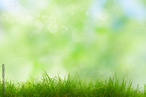 natural green background with selective focusм