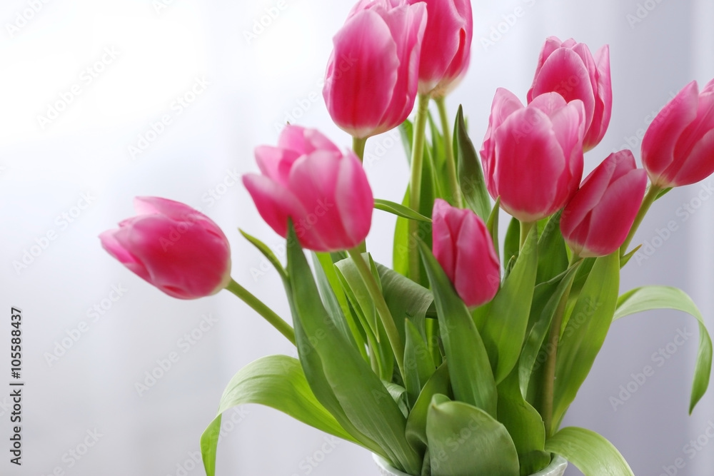 Fototapeta premium Bouquet of pink tulips, close up