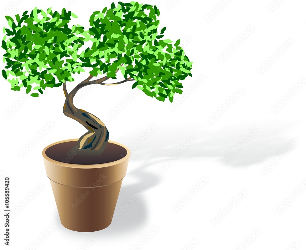 Obraz premium Brown flowerpot with small bonsai and shadow