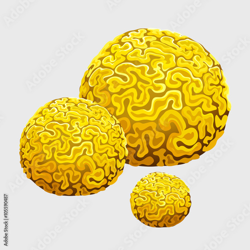 Yellow underwater sponge, polyps in form of brains