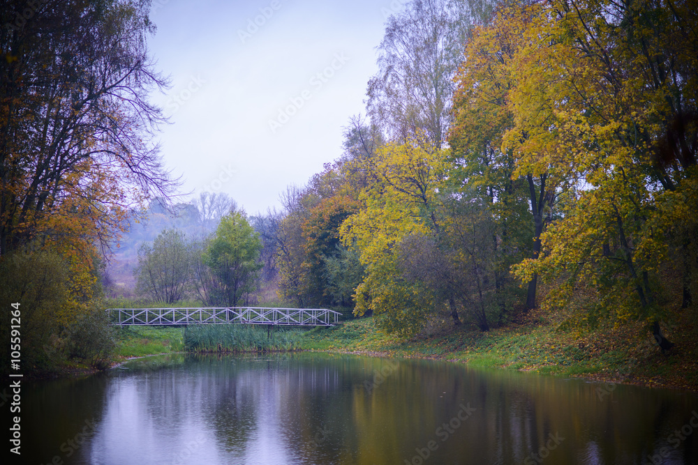 beautiful Forest lake in autumn with reflection water